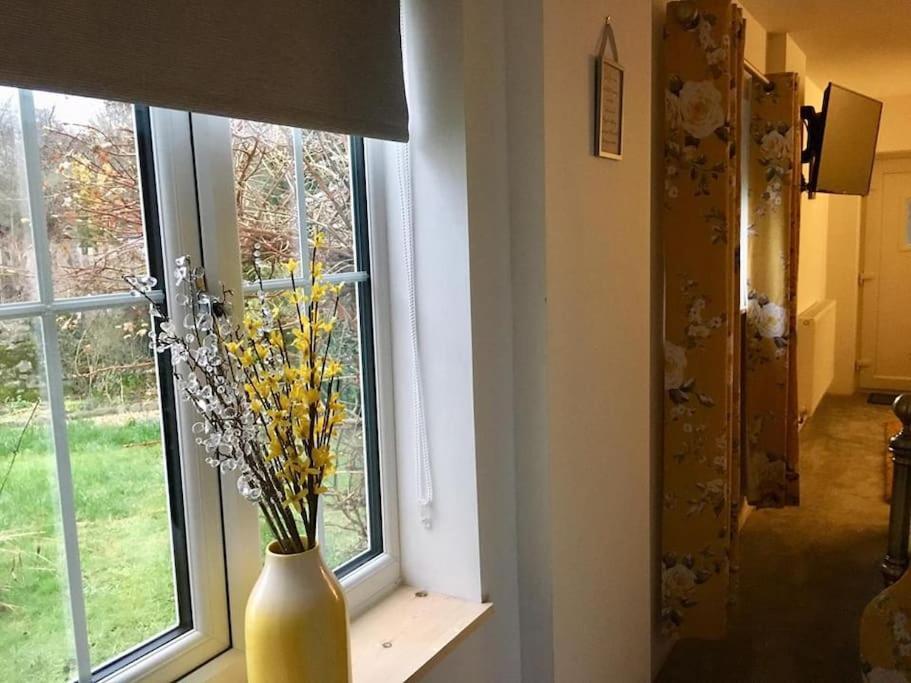 Daffodil House , West Wales Llandovery Bagian luar foto